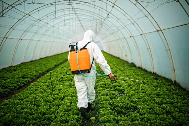 Pest Control for Restaurants in Hunter, TN