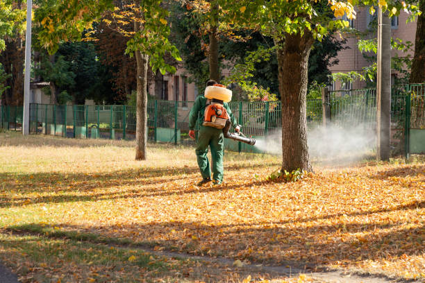 Best Exterminator Services  in Hunter, TN
