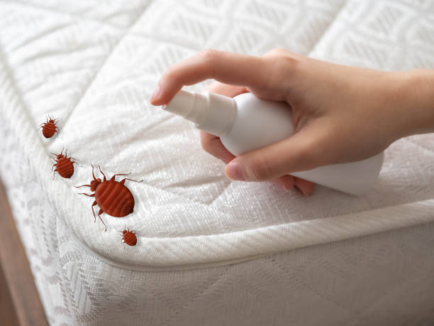 Best Pest Control for Restaurants  in Hunter, TN